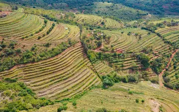 Landscape under restoration in Makueni County, Kenya