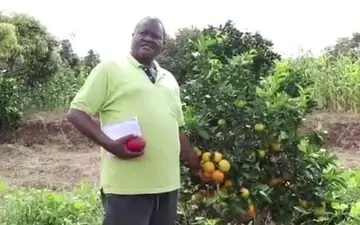 A farmer in Kenya