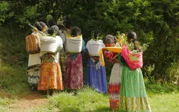 Women fight land degradation in Ethiopia