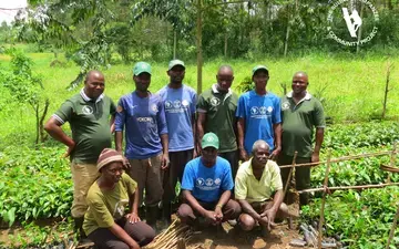 Bulindi team members working in the tree nurseries
