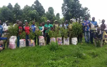 PLANTING OF PYGEUM 