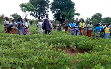 Séance de travail avec les femmes agricultrices sur les bonnes pratiques agricoles