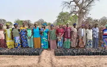 Tree Nursery preparation