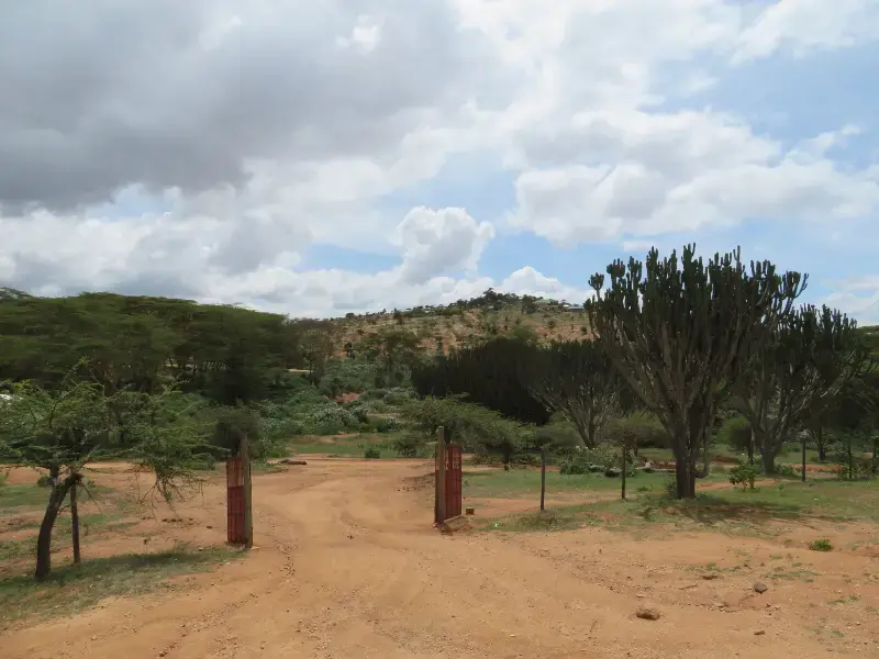 Mukogodo Forest landscape